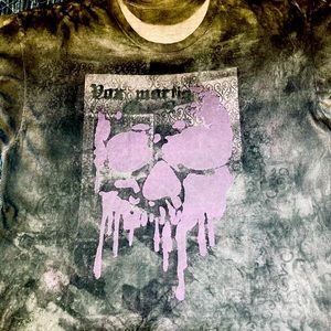 Hand painted T-shirt size Mens xl.